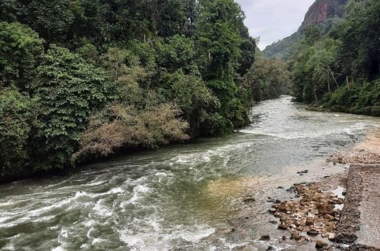 whatsapp image 2020 12 06 at 192604 e7b2304f5e68aa9473ae097e9f9ba634 768x508