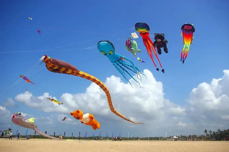 Bali Kite Festival 768x510