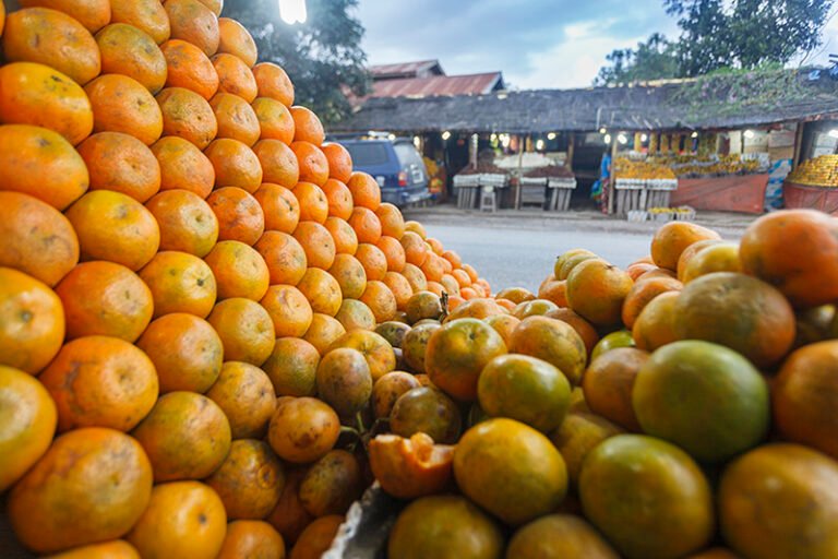 1 TONGGING 10 1 768x512