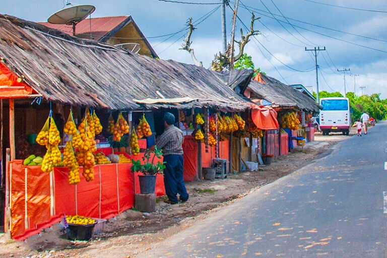 1 TONGGING 3 1 1 768x512