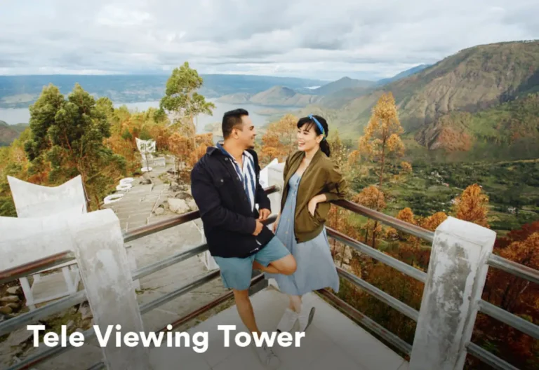 Geosite Tele6 768x528