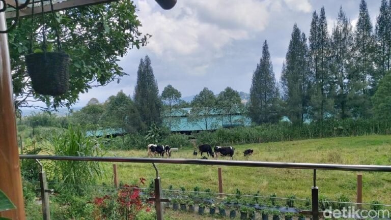 gundaling farmstead 1 169 768x433