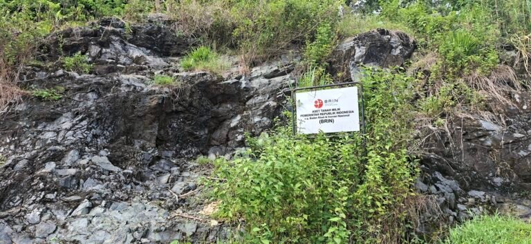 20251122 144506 768x354