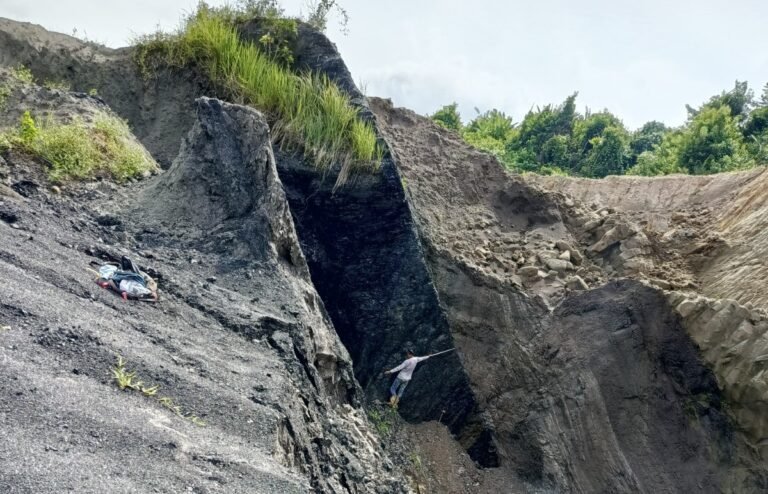 Singkapan Batupasir Batubara 1 768x494