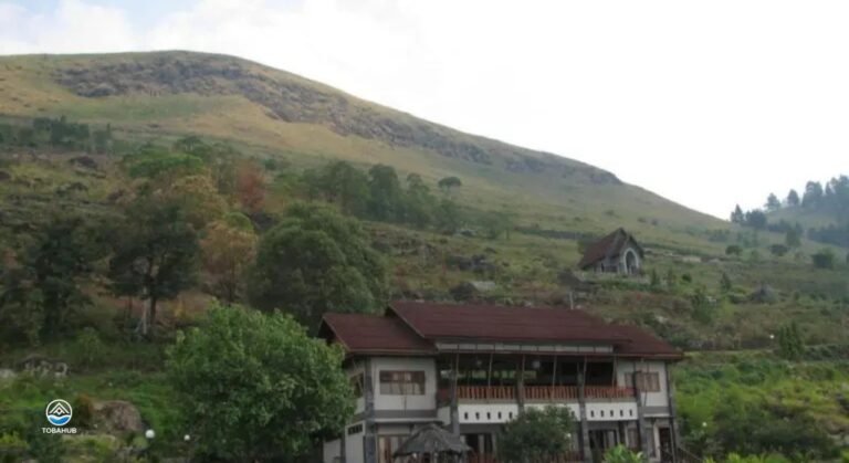 saulina resort7 768x419